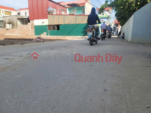 BEAUTIFUL LAND LOT FOR SALE AT GOOD PRICE IN GROUP 10, QUANG MINH TOWN, ME LINH, HANOI _0