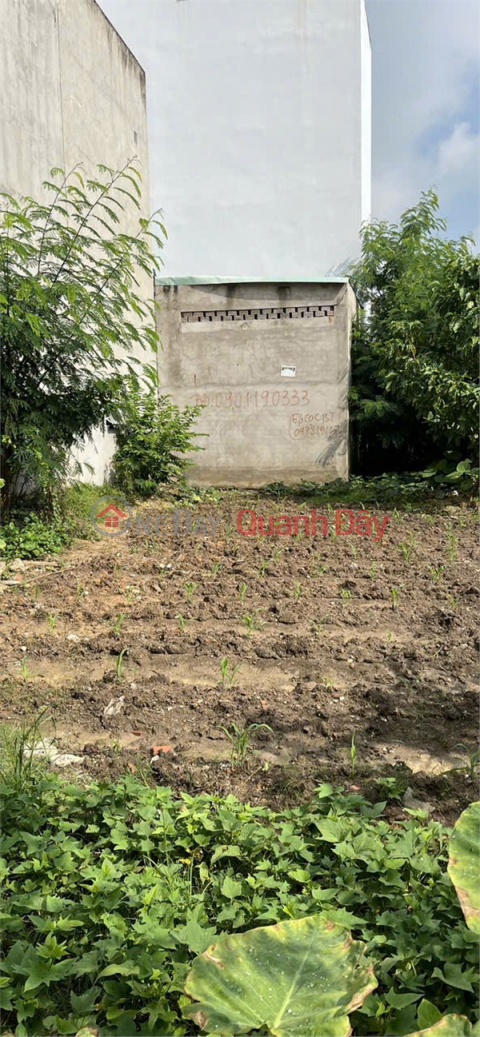 Đất đẹp- đầu tư là sinh lời Chính chủ cần bán nhanh lô đất tiềm năng tại quận 9, TPHCM _0