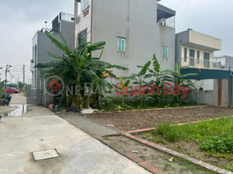 Bán đất thôn Ấp Tre (Tổ 9) Quang Minh, TP Hà Nội. Đường thông bàn cờ, full thổ cư, oto đỗ _0