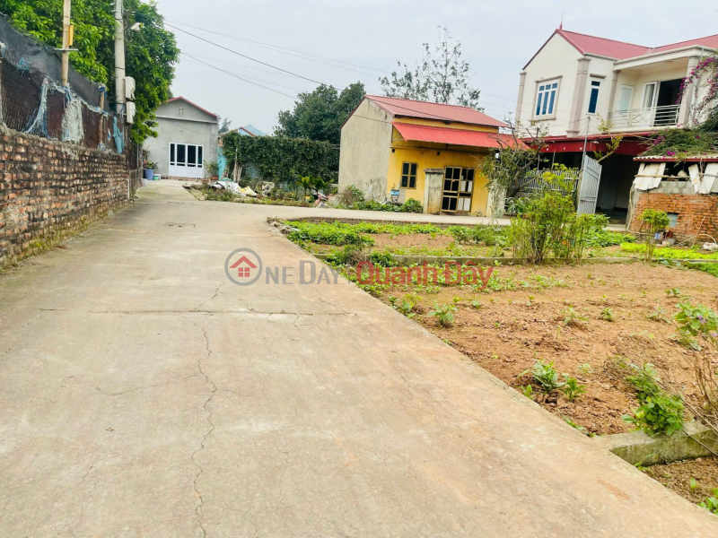 Property Search Vietnam | OneDay | Residential, Sales Listings | Land for sale near Vinh street, area 65m2, frontage 6m, rear expansion, car road, 2 motorbikes