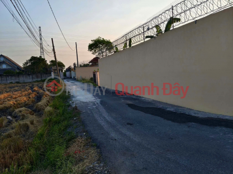 PRIME LAND - GREAT PRICE Urgent Sale: Plot of land 37, Hamlet 3, Nhut Chanh, Doctor Road, Nhut Chanh Commune, Ben Luc District, Long An Province. _0