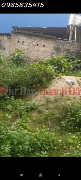 Need money to quickly sell a plot of land over 500m2 used in Ba Trai Commune, Ba Vi, Hanoi, investment price Sales Listings