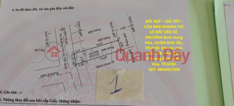 PRIME LAND – GREAT PRICE – URGENT SALE OF ADJACENT LAND PLOTS IN BINH HUNG HOA WARD, BINH TAN DISTRICT, HO CHI MINH CITY _0