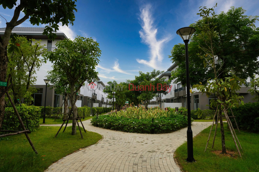 600 hottest social apartments to own immediately Vietnam, Sales | đ 900 Million