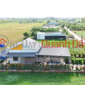 Chủ hạ sốc 1 tỷ 550 triệu - Cơ hội sở hữu nhà vườn mặt tiền huyện lộ 05B, Bình Nghị, Gò Công Đông _0