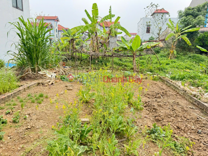 Extremely rare opportunity! 64m² plot of land in Group 9, Quang Minh - right next to the industrial zone, priced at only 1.8 billion VND., Vietnam, Sales | đ 1.8 Billion