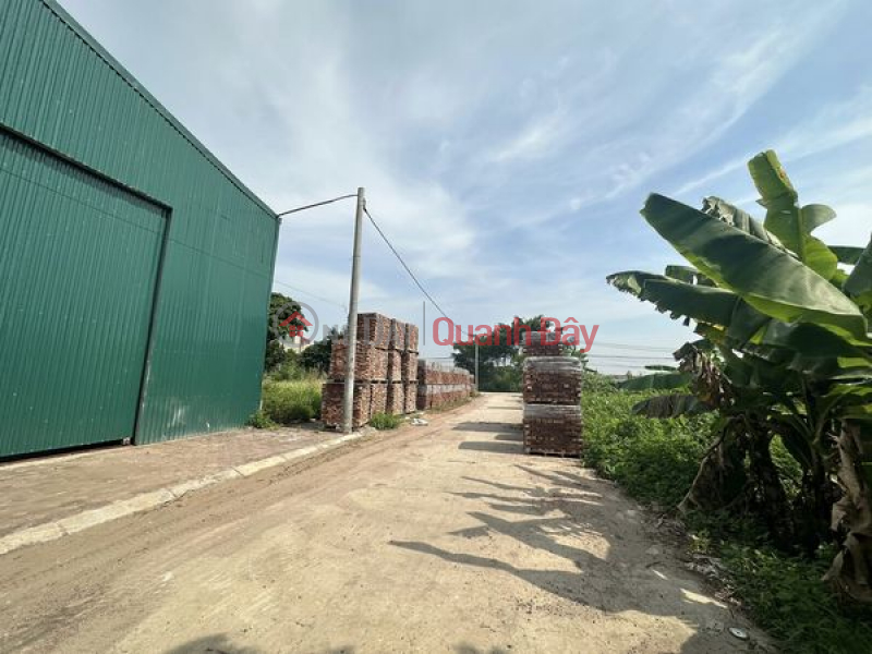 Selling 300m of workshop warehouse, container truck with wide frontage right in the center of Thuong Tin, price only 9 billion, Vietnam, Sales, đ 9 Billion