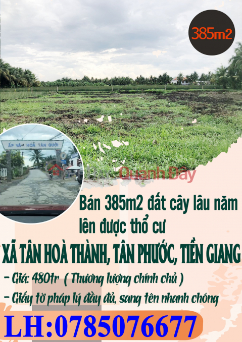 Bán 385m2 đất cây lâu năm lên được thổ cư xã Tân Hoà Thành, Huyện Tân Phước, Tiền Giang _0