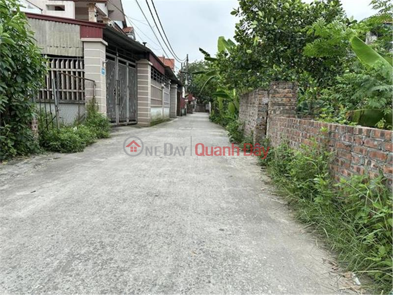 Property Search Vietnam | OneDay | Nhà ở Niêm yết bán Chính Chủ Gửi Bán lô Đất 83m2 Mai Đông - Mai Đình - Sóc Sơn