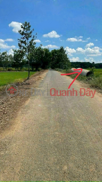 Đất Phú Hòa Đông, Củ Chi 667m2 - Mặt tiền Bưng Tràm, tiềm năng thành lô góc 2 mặt tiền, 1,9 tỷ Niêm yết bán