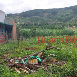 BEAUTIFUL LAND - GOOD PRICE - OWNER NEEDS TO SELL LAND URGENTLY At Gia Lam Commune, Lam Ha District, Lam Dong Province _0