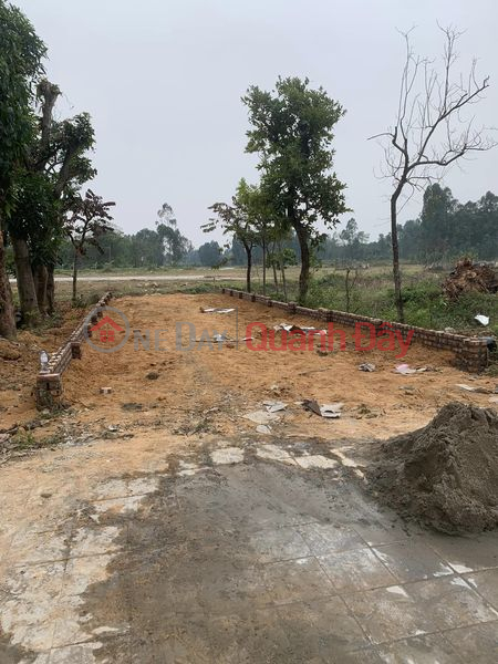 Land for sale on Le Quang Dao street, 36m wide business road in the center of Xuan Hoa, Phuc Yen, Vinh Phuc Sales Listings