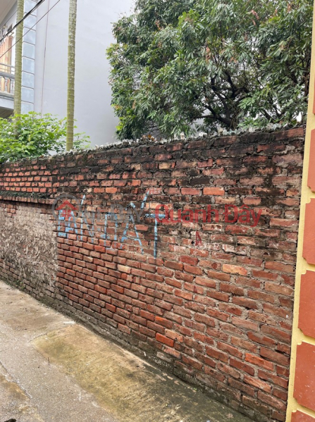 Property Search Vietnam | OneDay | Nhà ở | Niêm yết bán BÁN LÔ ĐẤT ĐẸP TẠI THÔN LỰC CANH, XÃ XUÂN CANH, ĐÔNG ANH, HÀ NỘI