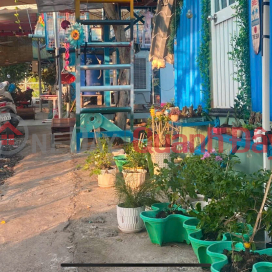 CHÍNH CHỦ CẦN BÁN NHÀ VƯỜN NGHỈ DƯỠNG Tại Ấp 1, Xã Thạnh Hòa, Huyện Bến Lức, Long An. _0