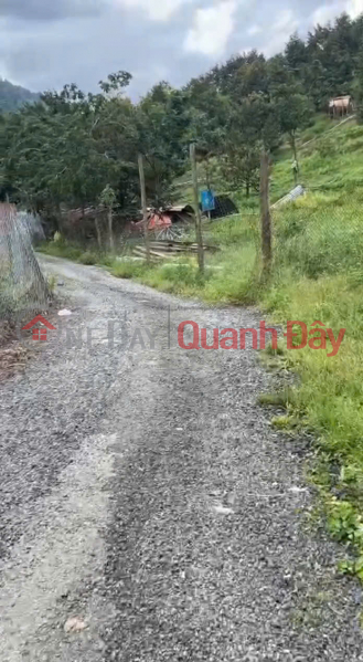 đ 2.2 Billion | PRIME LAND FOR SALE - OWNER NEEDS TO SELL 2 PLOTS IN A STRATEGIC LOCATION IN PHUOC LOC COMMUNE, DA HOAI DISTRICT, LAM DONG PROVINCE