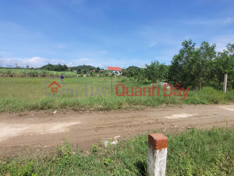 Beautiful land plot for quick sale by owner in Dien Tan, price only 2.6 million\/m, nearly 70m from HL62 _0