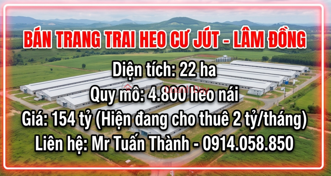 Pig farm for sale, 22 hectares, 4,800 sows - Cu Jut, Dak Nong. Currently leased for 2 billion VND\\/month. Sales Listings