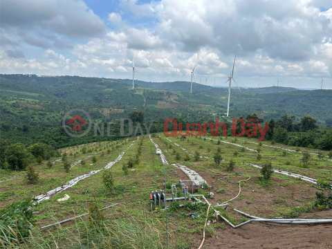 BEAUTIFUL LAND - GOOD PRICE - Owner Needs to Sell Quickly Cu Ne Commune, KrongBuk District, DakLak Province _0