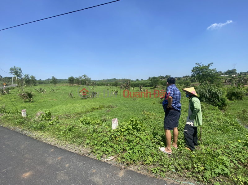 Owner sells plastic frontage land in Binh Trung Chau Duc for 700 million\\/1000m2 Sales Listings