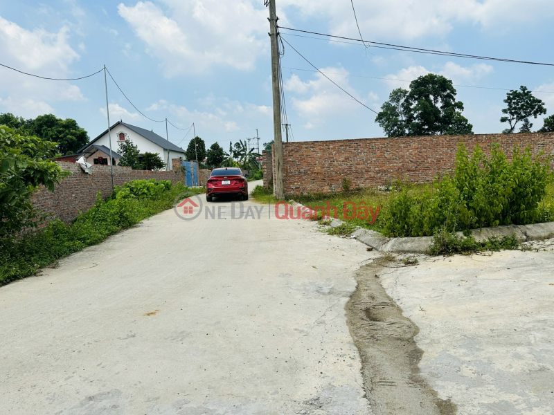 Only 420 million plots of land in Soc Son are fully residential, including title transfer books, 5m road for cars to enter the land | Vietnam | Sales, ₫ 420 Million