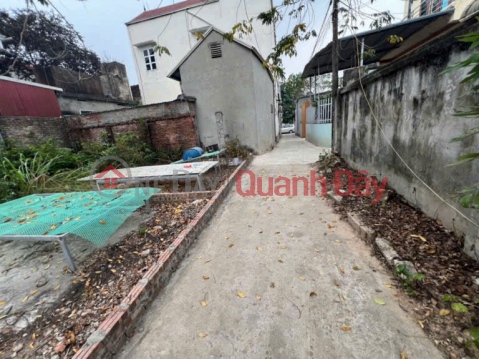 OWNER SELLS 43M2 LAND LOT IN PHU NGHIA - CHUONG MY WARD - HANOI _0