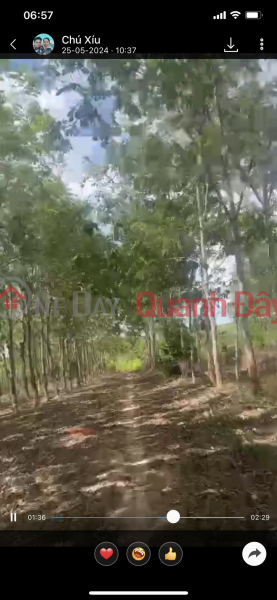 đ 10.5 Billion, NEED FOR QUICK SALE Beautiful PRIME LOT OF LAND In Hoa Binh commune, Xuyen Moc district, Ba Ria Vung Tau province