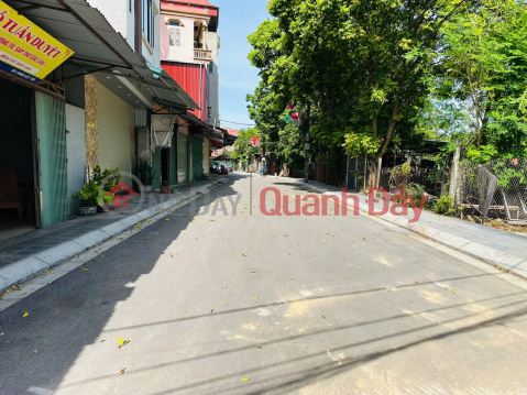 OWNER FOR SALE BEAUTIFUL LAND 100M2 THU LO - LIEN HA - DONG ANH - Car-accessible road _0