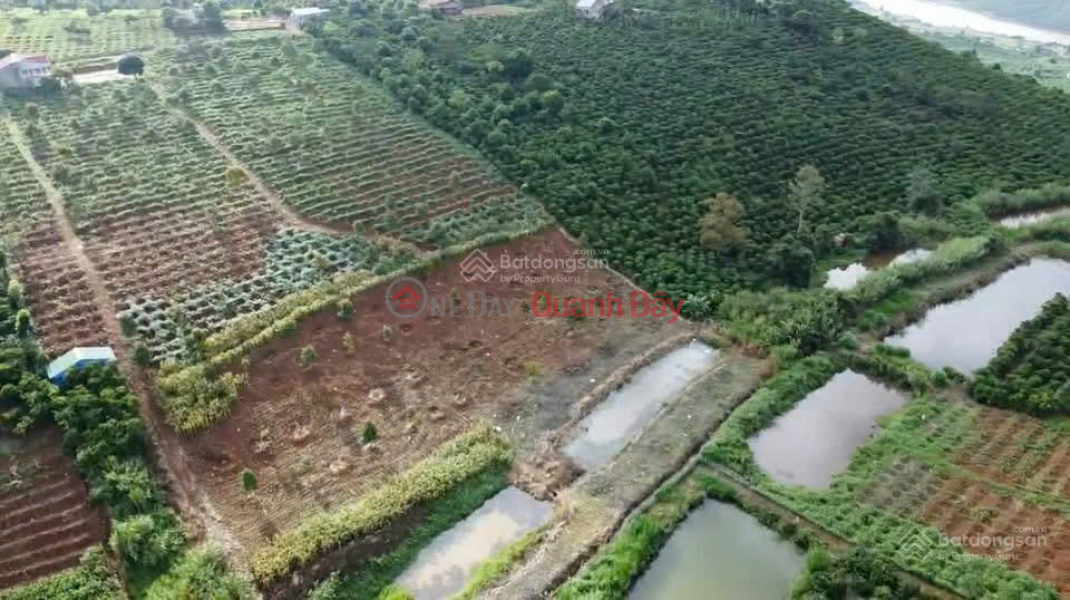 Đất phong thủy tốt, view săn mây, sẵn nông sản cà phê, sầu riêng 9T, gần sân bay QT Liên Khương Niêm yết bán