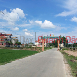 Bán đất Thuận Thành, Bắc Ninh. 100m2 * mt 5m * 2,65 tỷ. ô tô tránh, giá đầu tư. _0