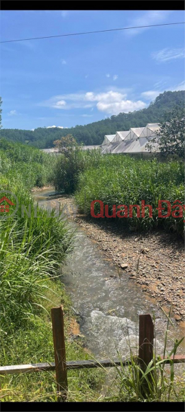 Property Search Vietnam | OneDay | Residential Sales Listings BEAUTIFUL LAND - GOOD PRICE - For Quick Sale Land Lot Prime Location At Mimosa Pass