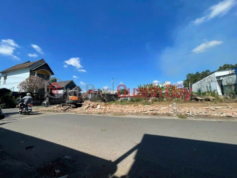 Land - RIGHT NEXT TO TRANG BOM TOWN - Paved road suitable for business, passing through Doi 61 commune, near Le Duan road. _0