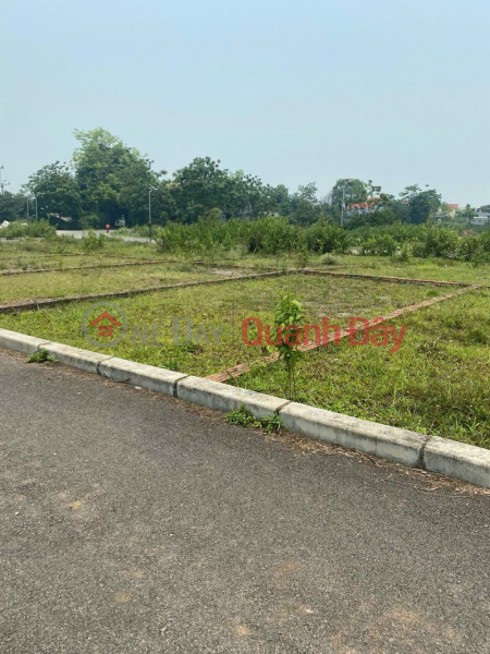 Property Search Vietnam | OneDay | Residential | Sales Listings | Consignment for sale of 60.5m2, less than 1 billion, land with asphalt road in Dong Son commune, subdivision, car