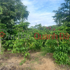 HOT HOT – CẦN BÁN KHU VƯỜN 7 SÀO GẦN BV XUYÊN Á, X. Trúc Sơn, H. Cư Jút, T. Đắk Nông _0