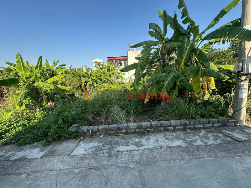 Property Search Vietnam | OneDay | Residential | Sales Listings, LAND FOR SALE IN TAN THANH, DUONG KINH, 100M2 – 5M WIDE ALLEY, PRIME LOCATION – RARE INVESTMENT OPPORTUNITY. CONTACT US VIA ZALO 0567 222 555