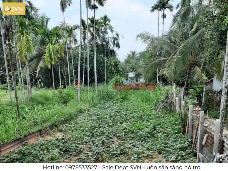 Property Search Vietnam | OneDay | , Sales Listings | OPPORTUNITY TO OWN FULL RESIDENTIAL LAND AT A GOOD PRICE IN LONG TAN