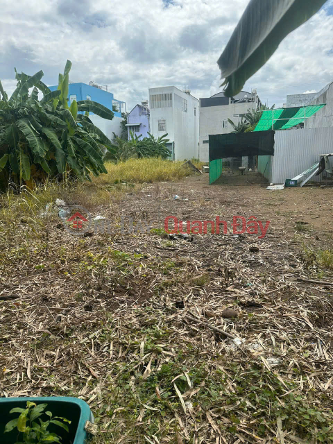 Beautiful Land - Good Price - Owner Needs to Sell a Plot of Land in a Beautiful Location in Cai Von Ward, Binh Minh, Vinh Long _0