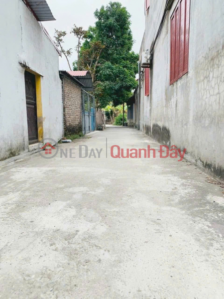 Owner Needs to Sell Urgently a Lot of Land in Car Lane at Dong Xa Village, Dai Dong, Van Lam, Hung Yen. Vietnam Sales | đ 1.5 Billion