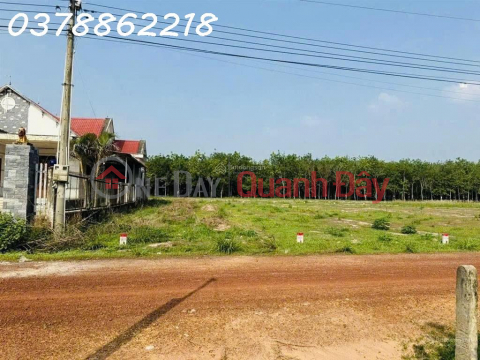 Bán gấp lô đất đường Lò Rèn, xã Long Hòa, Dầu Tiếng, 9200m2, giá 4,2tr/m2 _0