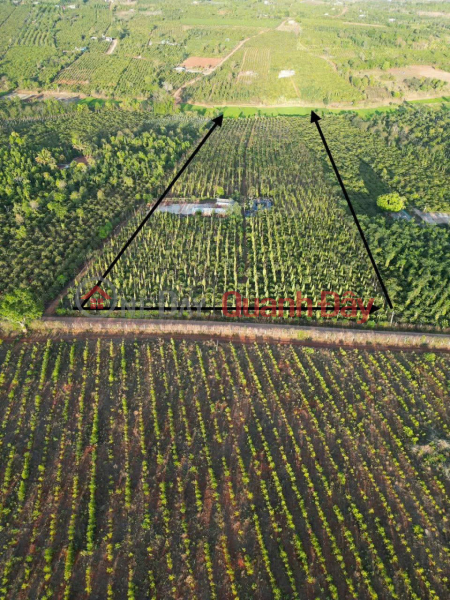 đ 6,5 tỷ HOT HOT – CẦN BÁN 2,7HA ĐẤT 2 MẶT TIỀN, X. Đak Djăng, H. Mang Yang, T. Gia Lai