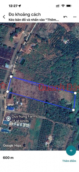 Owner needs to sell a 10,000 m2 plot of land in Gia Nghia, Dak Nong - Suitable for planting coffee trees and other crops. Vietnam | Sales | đ 2.9 Billion