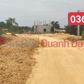 subdivision of land plot for residential area tho Binh million paint, area 200m2 _0