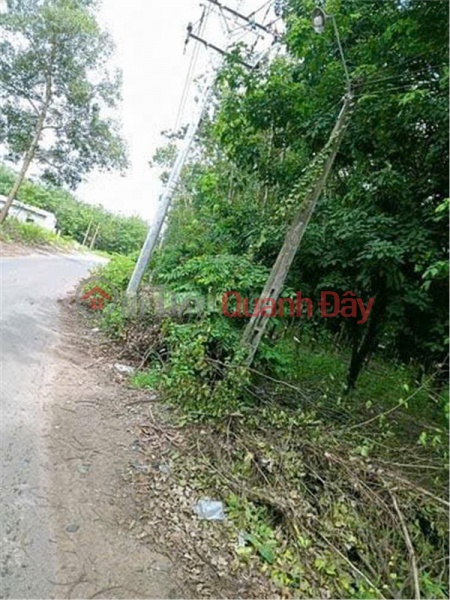 Property Search Vietnam | OneDay | Nhà ở Niêm yết bán ĐẤT ĐẸP – GIÁ TỐT – CHÍNH CHỦ CẦN BÁN TẠI Xã Suối Dây, Huyện Tân Châu, Tây Ninh