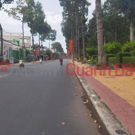 Residential Land for Sale on Ton Duc Thang Street, Sa Dec, Dong Thap. Area 150m2, Price 6.8 Billion, SHR. _0