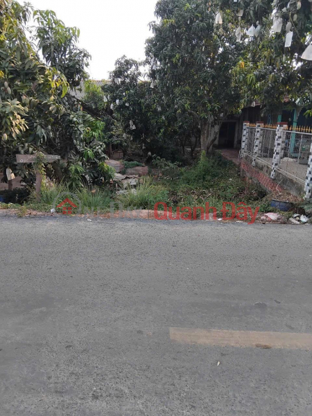 Property Search Vietnam | OneDay | Residential, Sales Listings, OWNER Urgently Needs to Sell Street Front Land in My Hiep Commune, Cho Moi District, An Giang