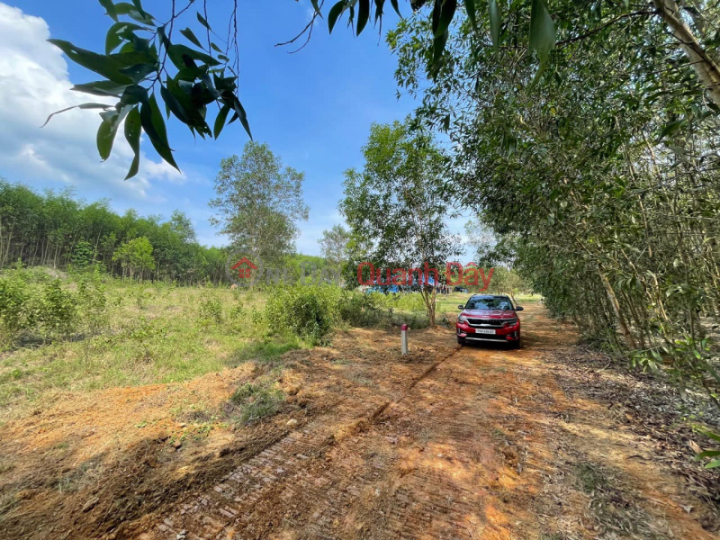 Hot goods! Open Lock Sale of 4 cheap plots of land from only 185 million\\/lot in Dien Xuan commune, Dien Khanh, Khanh Hoa. Vietnam, Sales, đ 185 Million