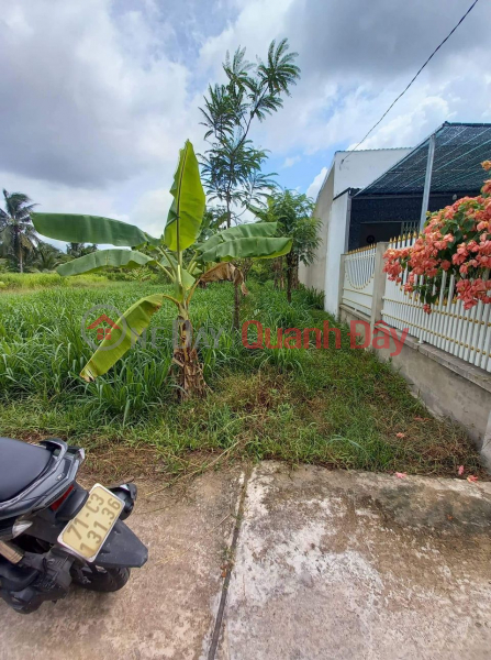 Property Search Vietnam | OneDay | | Sales Listings, Owner Need to sell residential land. Belongs to Phong Nam