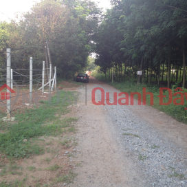 Land for sale with 2 street fronts at Vinh Hoa 70, Phu Giao, Binh Duong _0