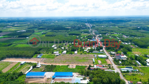 QUICKLY Own A LOT OF LAND BEAUTIFUL LOCATION - Special Price At BAU BANG CENTRAL LAND PROJECT _0
