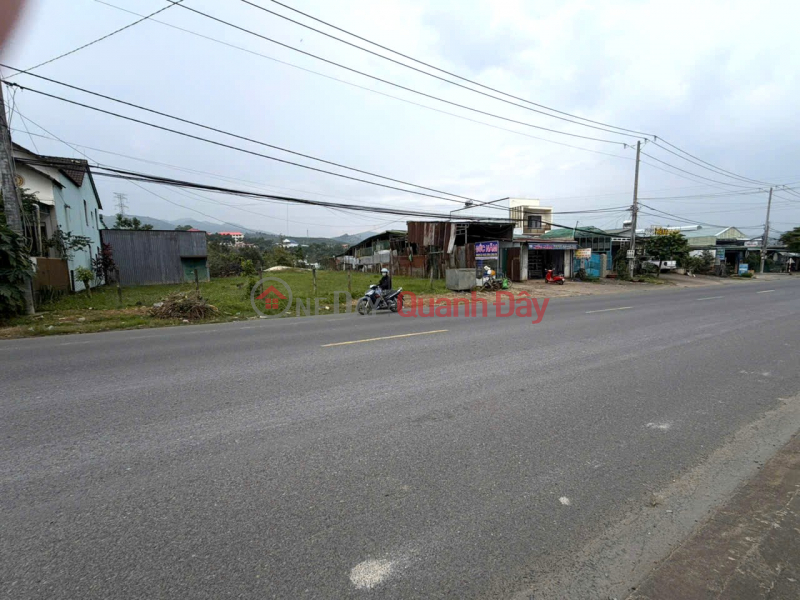 Prime land plot on National Highway 20, Ward 3, Bao Loc, with a massive 15m frontage, ideal for business and long-term investment. Sales Listings