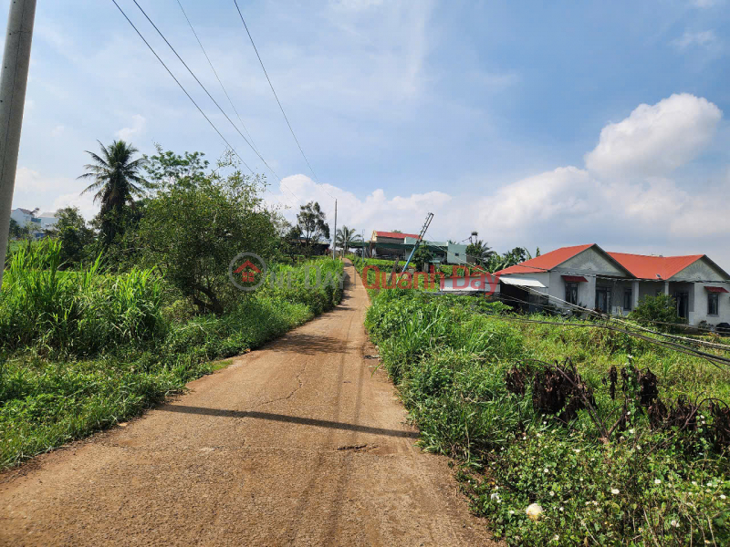 Property Search Vietnam | OneDay | Residential | Sales Listings, SELLING 101.2 METERS OF LAND IN NGHIA HIEP - LIEN NGHI - DUC TRONG - LAM DONG - PRICE ONLY 1.3 BILLION